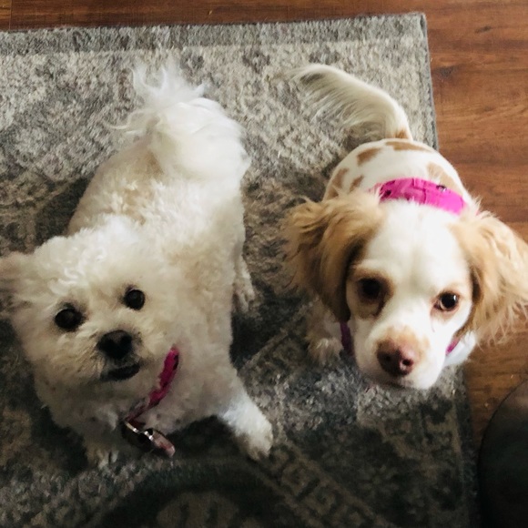 Meet your Posher, Rebecca - Picture 4 of 14